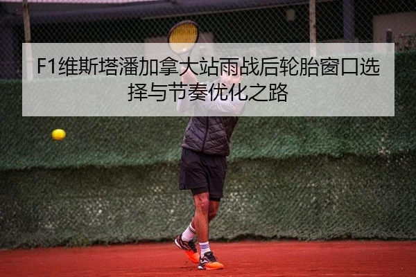 F1维斯塔潘加拿大站雨战后轮胎窗口选择与节奏优化之路