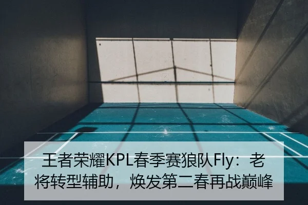 王者荣耀KPL春季赛狼队Fly：老将转型辅助，焕发第二春再战巅峰