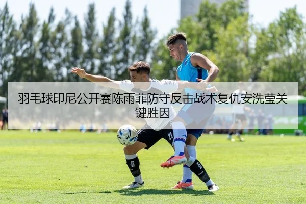 羽毛球印尼公开赛陈雨菲防守反击战术复仇安洗莹关键胜因